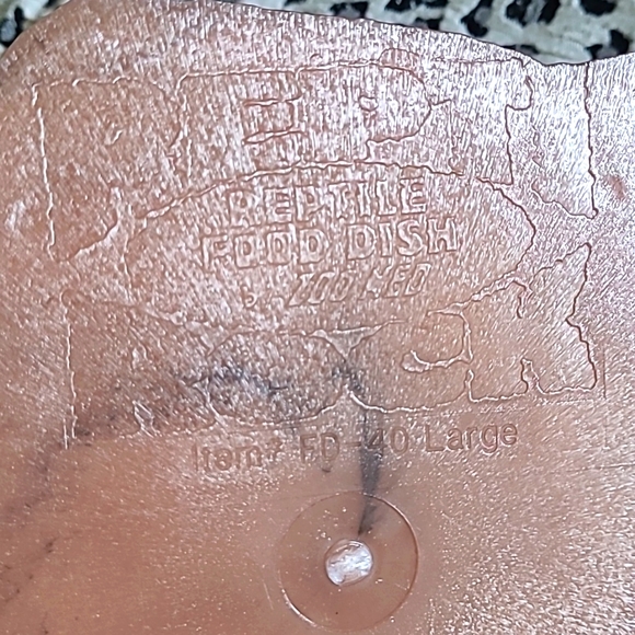 Reptile combo food/water dish. by ZOO MED size Large - Picture 3 of 8